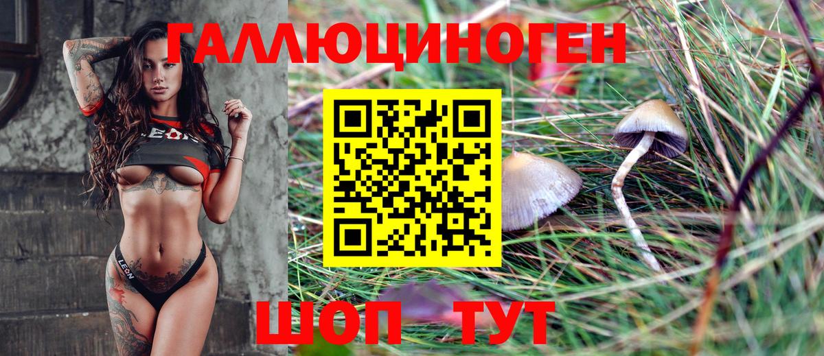 Псилоцибиновые грибы ЛСД Балтийск