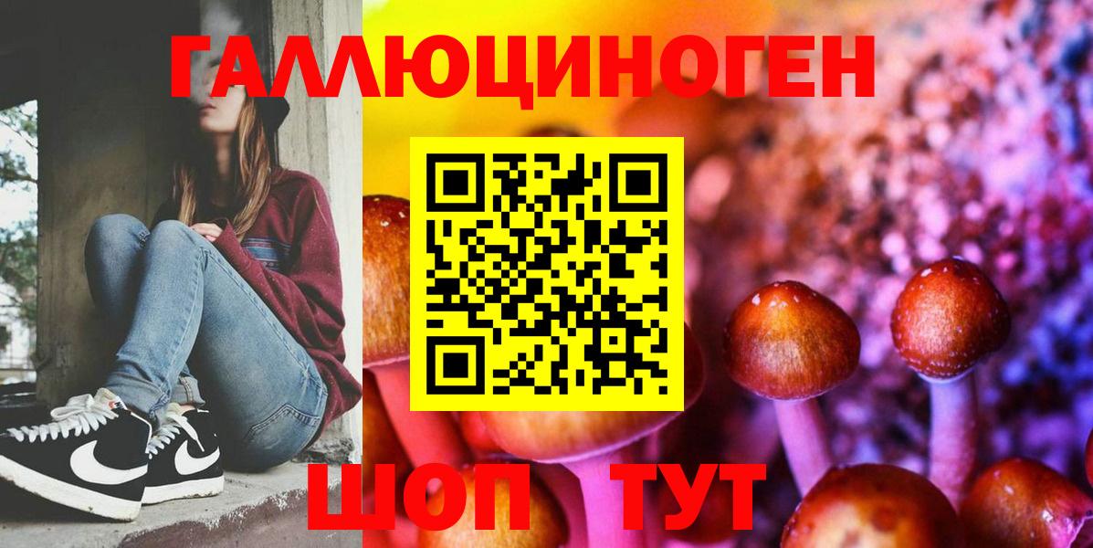 где купить наркоту  Псилоцибиновые грибы Magic Shrooms  Вход с VPN  Балтийск 