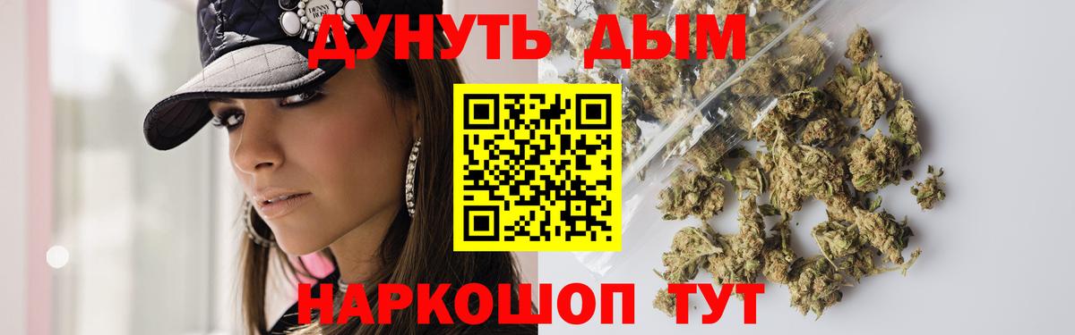 Бошки Шишки сатива Балтийск